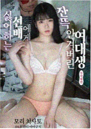 题材分类配图：剧集分集进度手账页